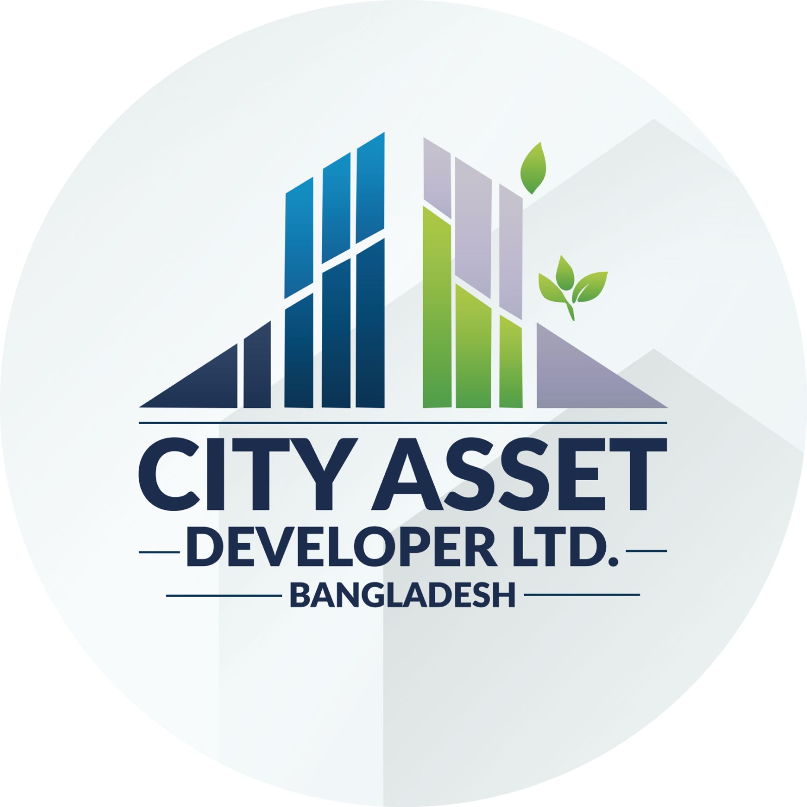 City Asset Developers Limited